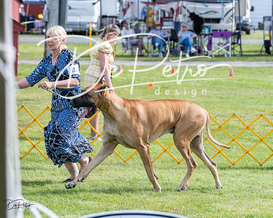 20230513-DSC00773