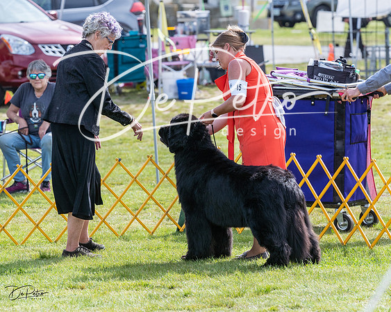 20230513-DSC00946