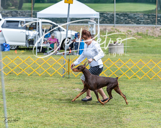 20230513-DSC08507