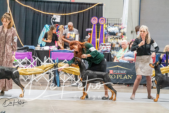 20261001-DSC07201