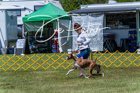 20230514-DSC04098