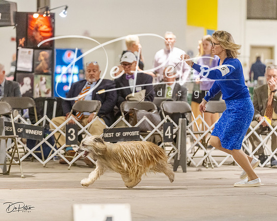 20230401-DSC07991