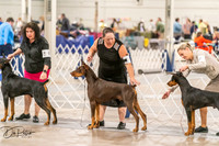 20261024-DSC00572