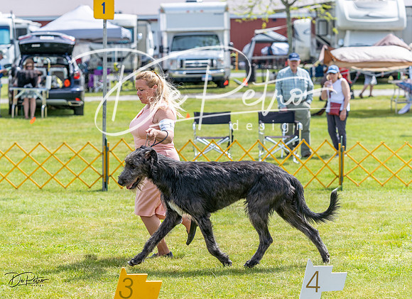 20230513-DSC09467