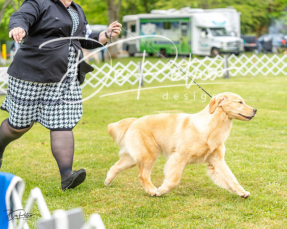 20230427-DSC03906