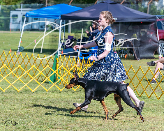 20230514-DSC02846