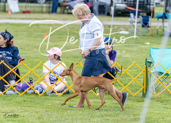 20230512-DSC03663