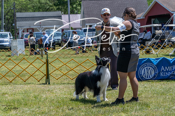 20230514-DSC04938