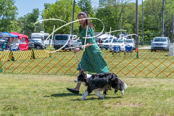 20230514-DSC04972