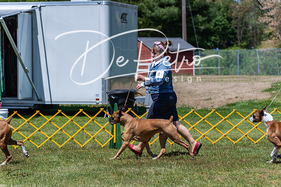 20230514-DSC04327
