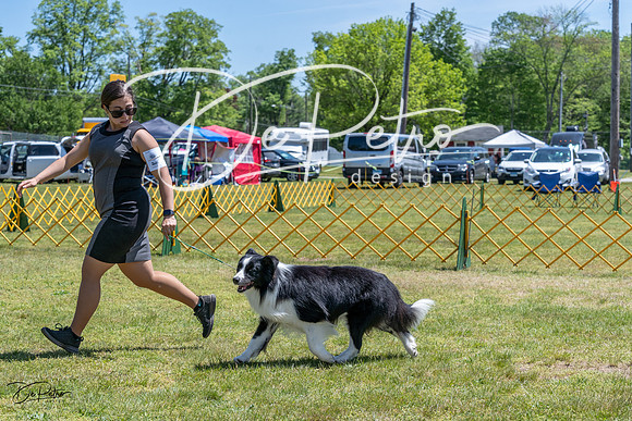 20230514-DSC04921