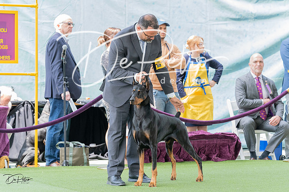20230509-DSC01087