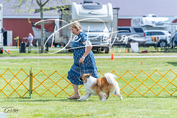 20230512-DSC05474