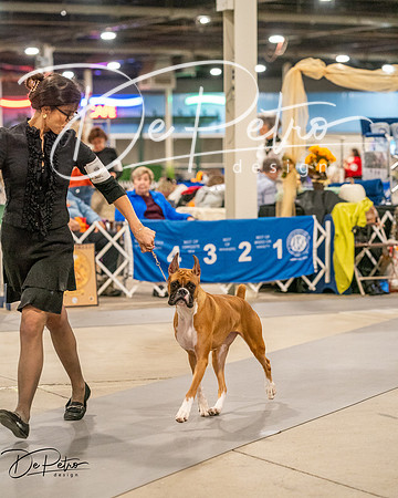 20261022-DSC01748