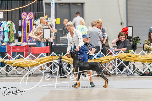 20260930-DSC06965