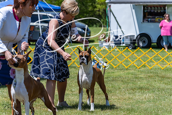 20230514-DSC04072
