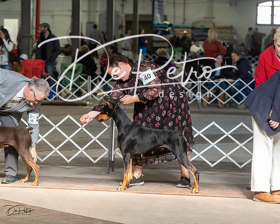 20230402-DSC08853