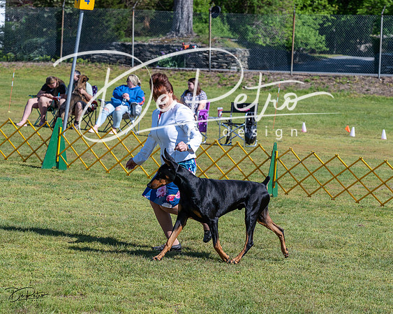 20230514-DSC03192