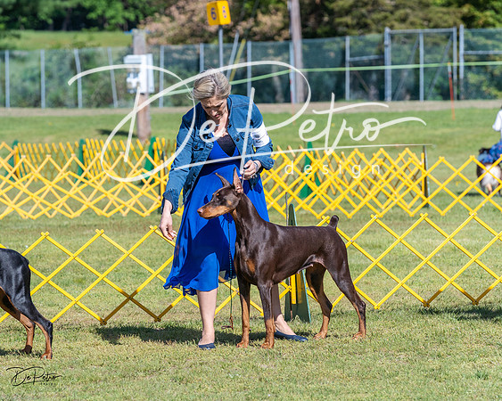 20230514-DSC02912