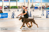 20261024-DSC00548