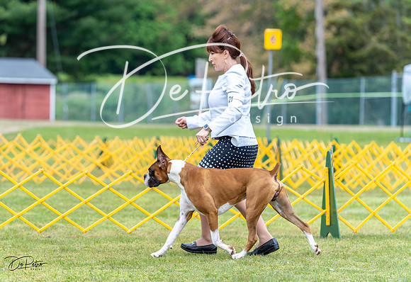 20230513-DSC07534