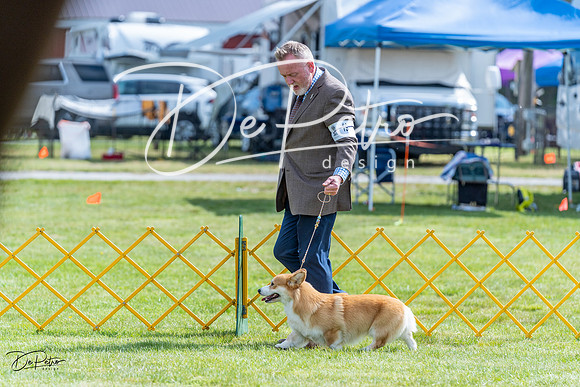 20230512-DSC05533