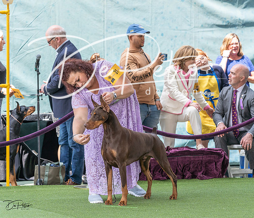 20230509-DSC01220