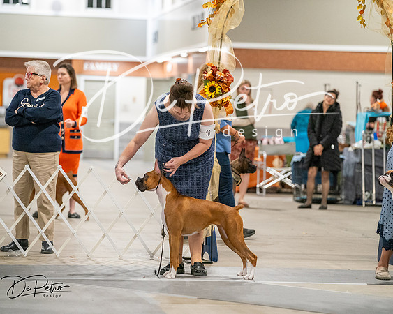 20261022-DSC02957