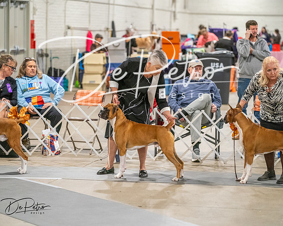 20261022-DSC02093