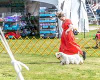 20230513-DSC00050