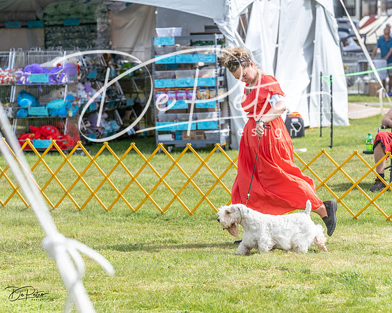 20230513-DSC00050
