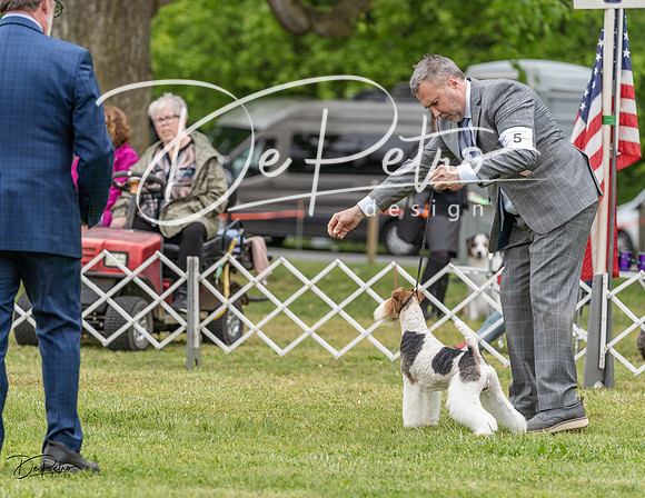20230427-DSC07428