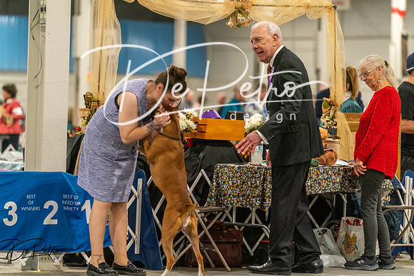 20261023-DSC05310