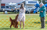 20230512-DSC07074