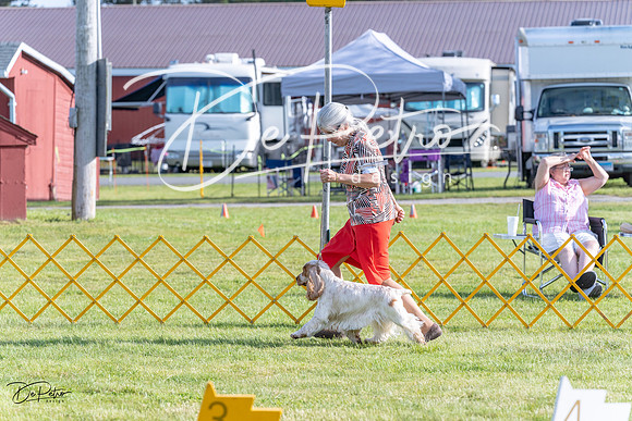 20230513-DSC02057