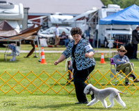 20230513-DSC00004