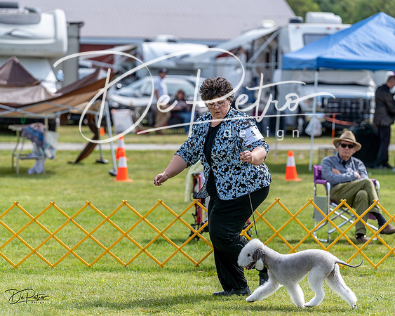 20230513-DSC00004