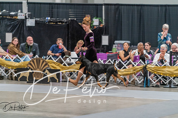20260928-DSC06283
