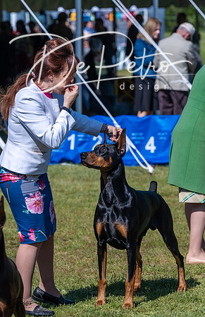 20230514-DSC03472