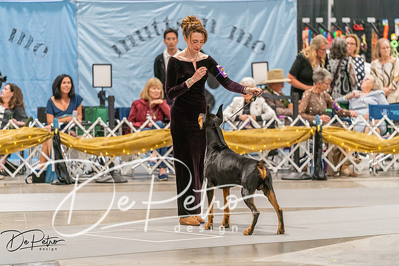 20260928-DSC06226