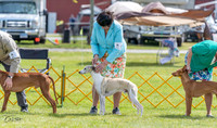 20230513-DSC09357