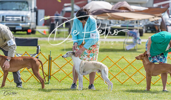 20230513-DSC09357