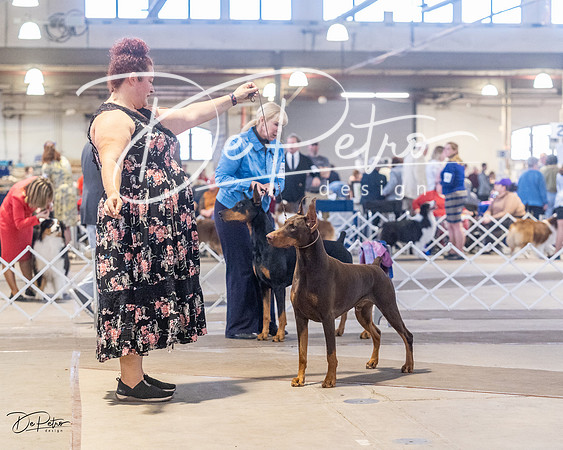 20230401-DSC06485