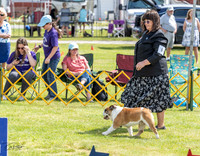 20230512-DSC03966