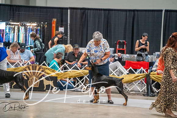 20260926-DSC04561