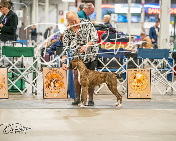 20261022-DSC01698