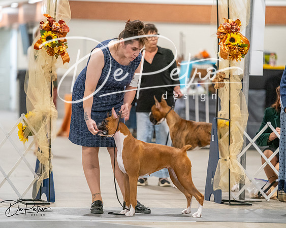 20261022-DSC03168