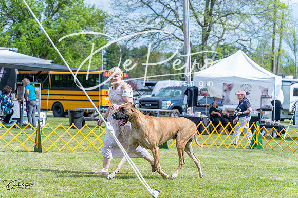 20230512-DSC04883