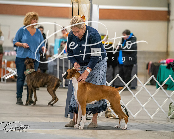 20261022-DSC02962