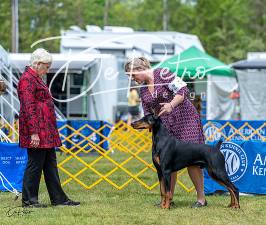 20230513-DSC08133